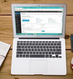Na co wpływa pozycjonowanie sklepów internetowych?